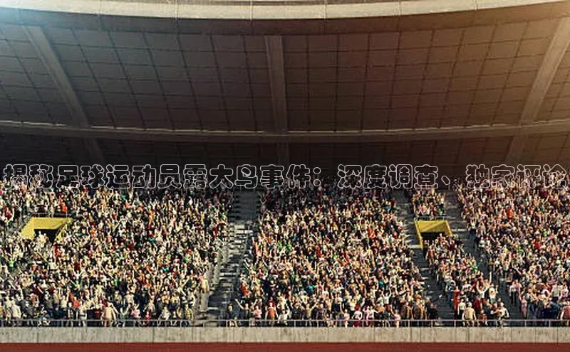 南宫app相信品牌的力量百度翻译App揭秘足球运动员露大鸟事件：深度调查、独家评论