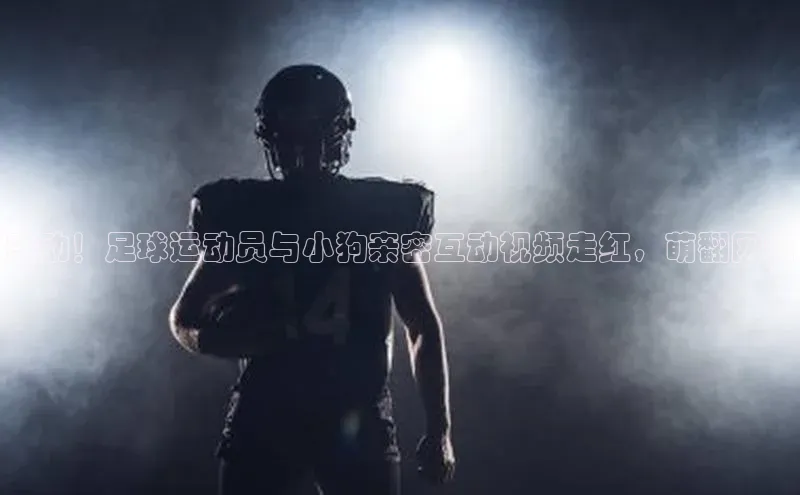 NG28相信品牌的力量官网百度手机输入法感动！足球运动员与小狗亲密互动视频走红，萌翻网络