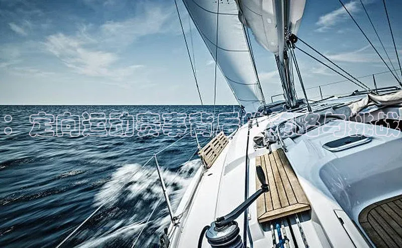 ：定向运动赛事背后的策略与挑战