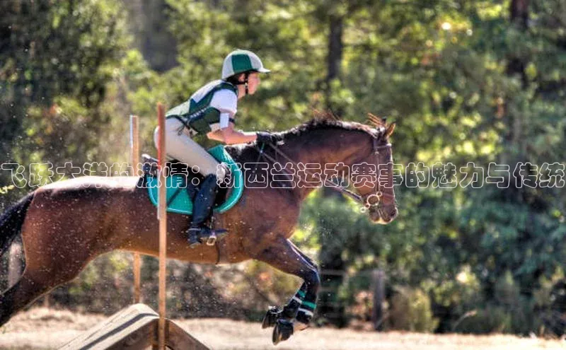 飞跃大洋的激情：新西兰运动赛事的魅力与传统