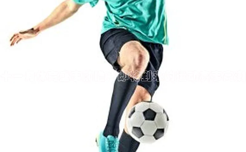 十一月体育盛事前瞻：即将到来的运动赛事高潮