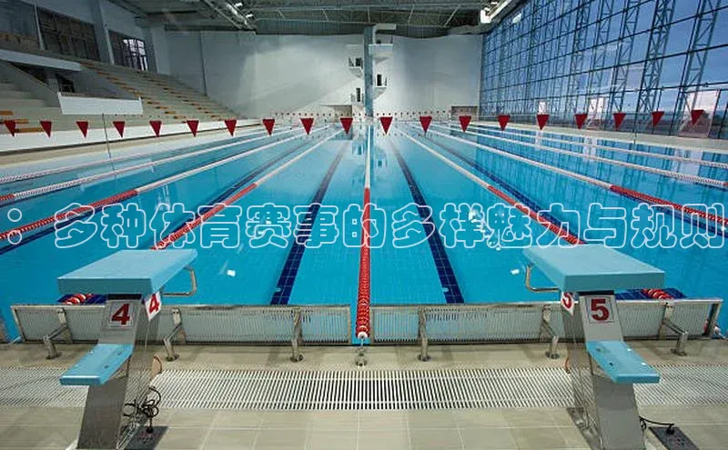 ：多种体育赛事的多样魅力与规则