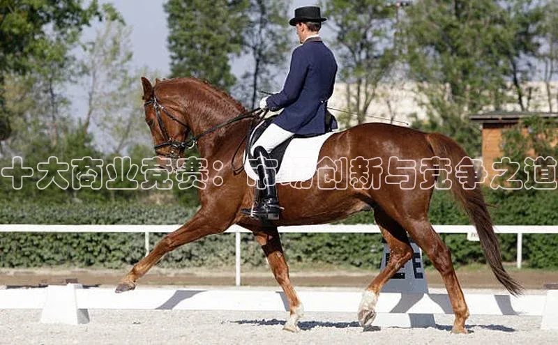 十大商业竞赛：市场创新与竞争之道