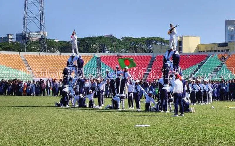 中国运动员赛事概览图：体育竞技的多元世界