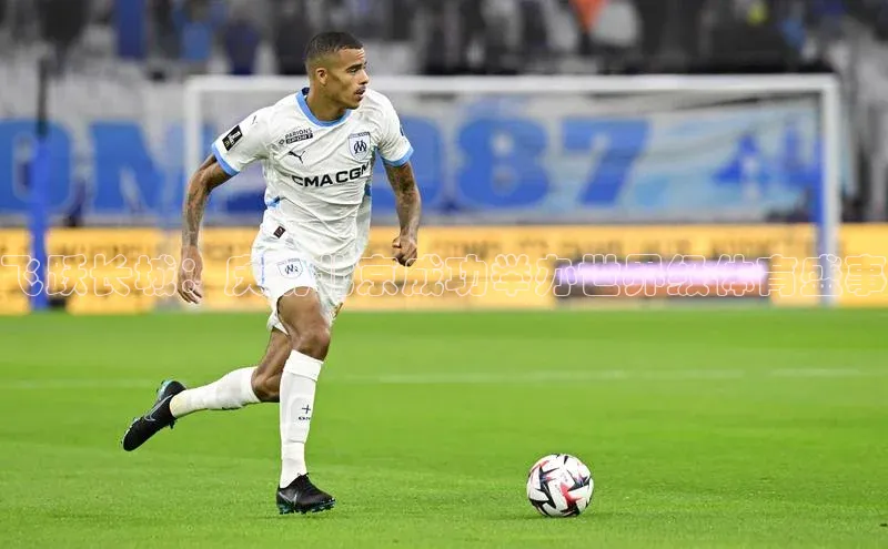 飞跃长城：庆祝北京成功举办世界级体育盛事