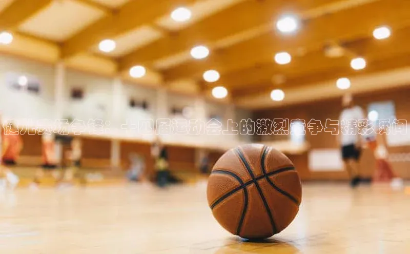 健儿赛场争锋：十四届运动会上的激烈竞争与精彩瞬间