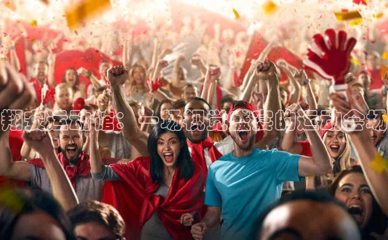 翔安运动馆：一场视觉盛宴的运动会场