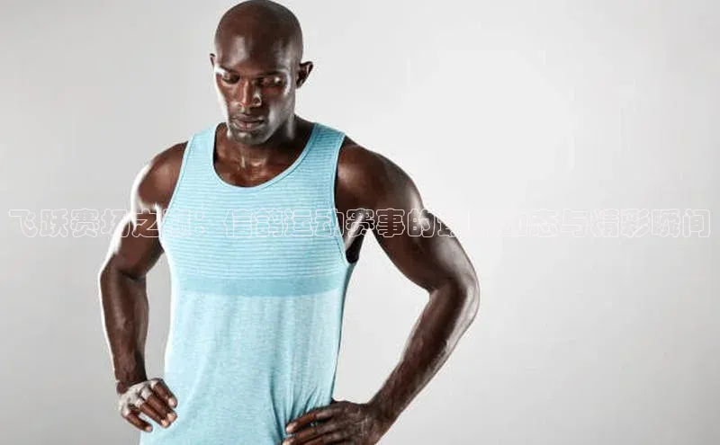 飞跃赛场之巅：信鸽运动赛事的最新动态与精彩瞬间