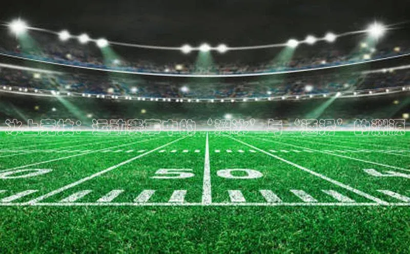 冰上竞技：运动赛事中的‘溜冰’与‘速滑’的渊源