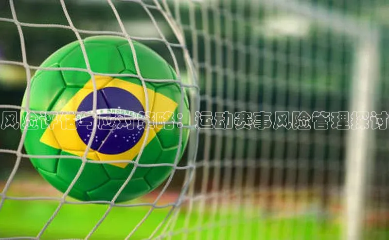 风险评估与应对策略：运动赛事风险管理探讨