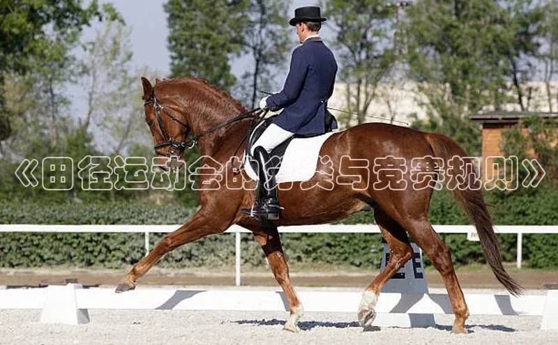 ng28南宫娱乐平台下载