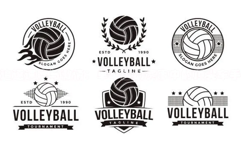 追逐速度与激情：单车运动赛事中的顶尖车手