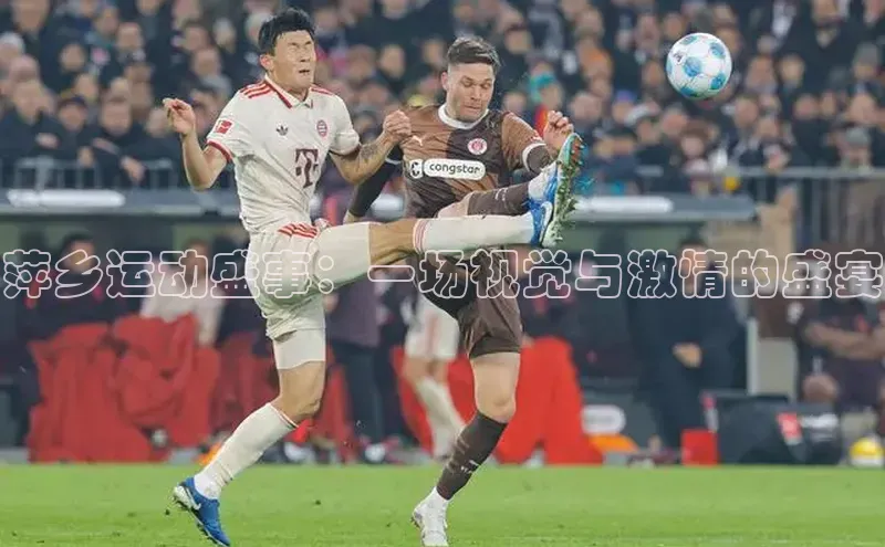 萍乡运动盛事：一场视觉与激情的盛宴